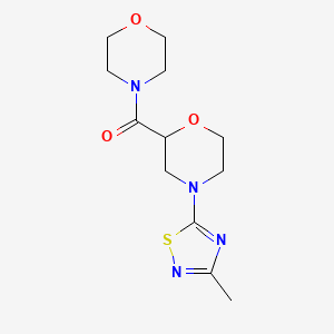 4-(3-Methyl-1,2,4-thiadiazol-5-yl)-2-(morpholine-4-carbonyl)morpholine