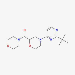 4-(2-Tert-butylpyrimidin-4-yl)-2-(morpholine-4-carbonyl)morpholine