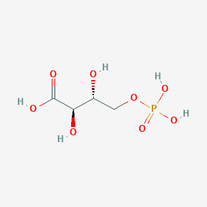 molecular formula C4H9O8P B122664 4-磷酸-D-赤藓糖酸 CAS No. 57229-25-1
