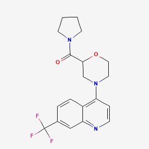 molecular formula C19H20F3N3O2 B12266540 4-[2-(Pyrrolidine-1-carbonyl)morpholin-4-yl]-7-(trifluoromethyl)quinoline 