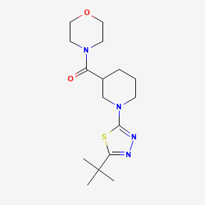 4-[1-(5-Tert-butyl-1,3,4-thiadiazol-2-yl)piperidine-3-carbonyl]morpholine