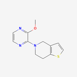 2-methoxy-3-{4H,5H,6H,7H-thieno[3,2-c]pyridin-5-yl}pyrazine