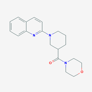 2-[3-(Morpholine-4-carbonyl)piperidin-1-yl]quinoline