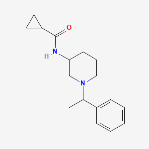 molecular formula C17H24N2O B12267299 N-[1-(1-phenylethyl)piperidin-3-yl]cyclopropanecarboxamide 