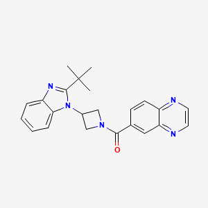 molecular formula C23H23N5O B12267673 6-[3-(2-tert-butyl-1H-1,3-benzodiazol-1-yl)azetidine-1-carbonyl]quinoxaline 