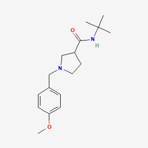 molecular formula C17H26N2O2 B12267732 N-tert-butyl-1-[(4-methoxyphenyl)methyl]pyrrolidine-3-carboxamide 