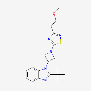 2-tert-butyl-1-{1-[3-(2-methoxyethyl)-1,2,4-thiadiazol-5-yl]azetidin-3-yl}-1H-1,3-benzodiazole