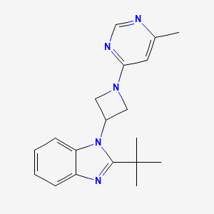 molecular formula C19H23N5 B12268921 2-tert-butyl-1-[1-(6-methylpyrimidin-4-yl)azetidin-3-yl]-1H-1,3-benzodiazole 