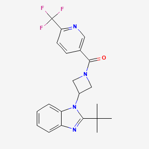 molecular formula C21H21F3N4O B12269236 2-tert-butyl-1-{1-[6-(trifluoromethyl)pyridine-3-carbonyl]azetidin-3-yl}-1H-1,3-benzodiazole 