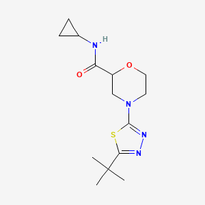 4-(5-tert-butyl-1,3,4-thiadiazol-2-yl)-N-cyclopropylmorpholine-2-carboxamide