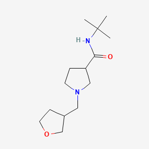 molecular formula C14H26N2O2 B12269665 N-tert-butyl-1-[(oxolan-3-yl)methyl]pyrrolidine-3-carboxamide 