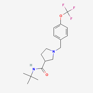 molecular formula C17H23F3N2O2 B12270573 N-tert-butyl-1-{[4-(trifluoromethoxy)phenyl]methyl}pyrrolidine-3-carboxamide 