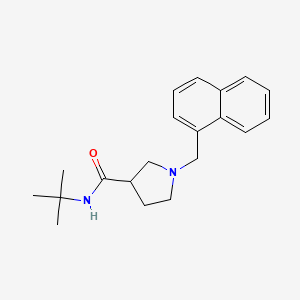 N-tert-butyl-1-[(naphthalen-1-yl)methyl]pyrrolidine-3-carboxamide