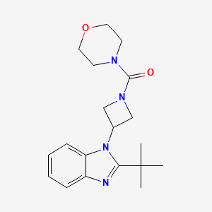 2-tert-butyl-1-[1-(morpholine-4-carbonyl)azetidin-3-yl]-1H-1,3-benzodiazole