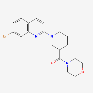 molecular formula C19H22BrN3O2 B12271609 7-Bromo-2-[3-(morpholine-4-carbonyl)piperidin-1-yl]quinoline 