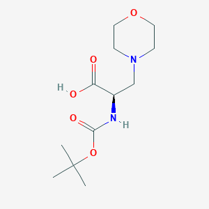 molecular formula C12H22N2O5 B12272381 Boc-3-(1-Morpholinyl)-D-Ala-OH 