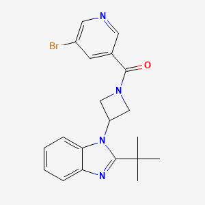 1-[1-(5-bromopyridine-3-carbonyl)azetidin-3-yl]-2-tert-butyl-1H-1,3-benzodiazole