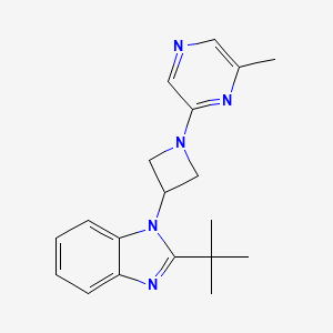 molecular formula C19H23N5 B12272863 2-tert-butyl-1-[1-(6-methylpyrazin-2-yl)azetidin-3-yl]-1H-1,3-benzodiazole 