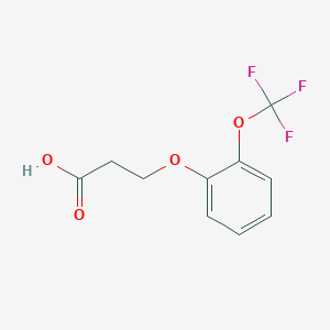 molecular formula C10H9F3O4 B12273411 3-(2-Trifluoromethoxyphenoxy)propanoic acid 