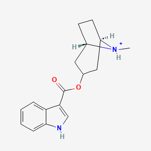 molecular formula C17H21N2O2+ B1227400 托罗匹西酮阳离子 