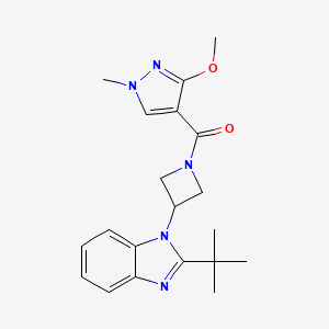 molecular formula C20H25N5O2 B12274384 2-tert-butyl-1-[1-(3-methoxy-1-methyl-1H-pyrazole-4-carbonyl)azetidin-3-yl]-1H-1,3-benzodiazole 