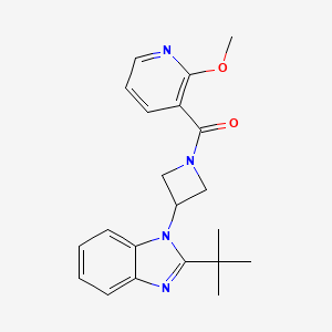 molecular formula C21H24N4O2 B12274555 2-tert-butyl-1-[1-(2-methoxypyridine-3-carbonyl)azetidin-3-yl]-1H-1,3-benzodiazole 