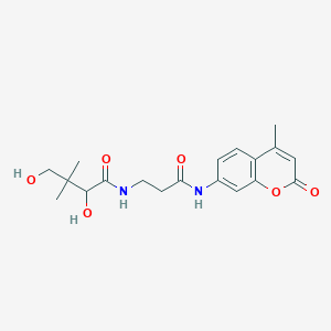 molecular formula C19H24N2O6 B12274930 2,4-dihydroxy-3,3-dimethyl-N-[3-[(4-methyl-2-oxochromen-7-yl)amino]-3-oxopropyl]butanamide 