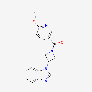 2-tert-butyl-1-[1-(6-ethoxypyridine-3-carbonyl)azetidin-3-yl]-1H-1,3-benzodiazole