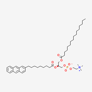 molecular formula C47H74NO8P B1227627 1-Palmitoyl-2-(9-(2-anthryl)nonanoyl)glycero-3-phosphocholine CAS No. 97992-77-3