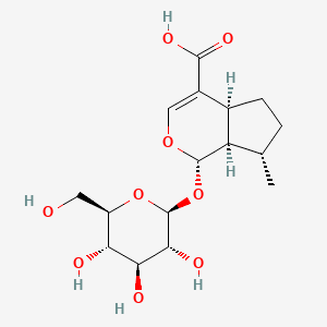 molecular formula C16H24O9 B1227630 7-去氧洛甘酸 CAS No. 22487-36-1