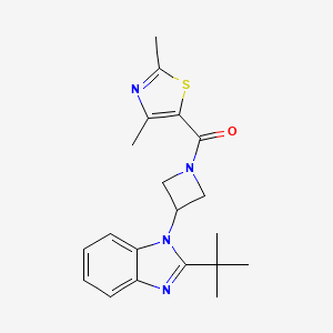 2-tert-butyl-1-[1-(2,4-dimethyl-1,3-thiazole-5-carbonyl)azetidin-3-yl]-1H-1,3-benzodiazole