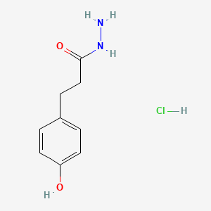 molecular formula C9H13ClN2O2 B12276949 3-(4-Hydroxyphenyl)propionic acid hydrazide hydrochloride CAS No. 223593-84-8