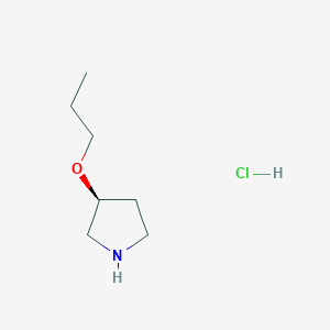 molecular formula C7H16ClNO B12277190 (S)-3-Propoxypyrrolidine 