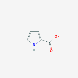 molecular formula C5H4NO2- B1227814 1H-Pyrrole-2-carboxylate 