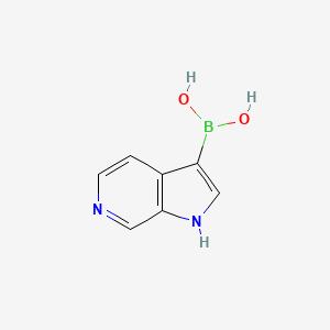 molecular formula C7H7BN2O2 B12278747 (1H-Pyrrolo[2,3-c]pyridin-3-yl)boronic acid 