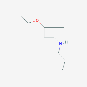 3-ethoxy-2,2-dimethyl-N-propylcyclobutan-1-amine