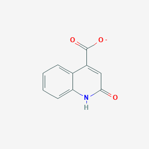 molecular formula C10H6NO3- B1227902 2-氧代-1,2-二氢喹啉-4-羧酸酯 