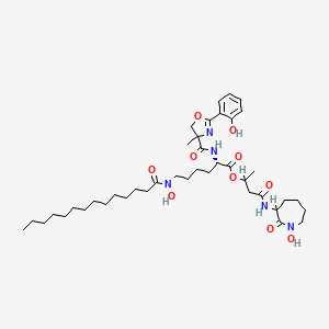 molecular formula C41H65N5O10 B1227919 [4-[(1-Hydroxy-2-oxoazepan-3-yl)amino]-4-oxobutan-2-yl] (2S)-2-[[2-(2-hydroxyphenyl)-4-methyl-5H-1,3-oxazole-4-carbonyl]amino]-6-[hydroxy(tetradecanoyl)amino]hexanoate CAS No. 161589-10-2