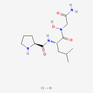 H-Pro-Leu-Gly-NHOH.HCl