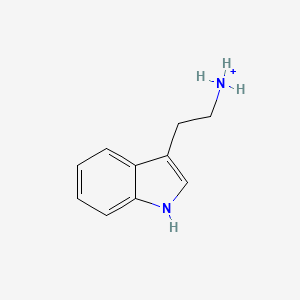 molecular formula C10H13N2+ B1227954 Tryptaminium 