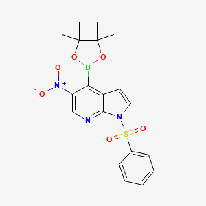 1-(benzenesulfonyl)-5-nitro-4-(tetramethyl-1,3,2-dioxaborolan-2-yl)-1H-pyrrolo[2,3-b]pyridine