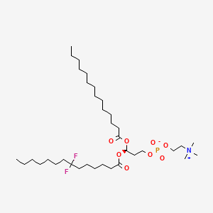 molecular formula C36H70F2NO8P B1228112 1-(Myristoyl)-2-(7,7-difluoromyristoyl)glycero-3-phosphocholine CAS No. 128022-95-7