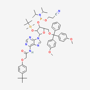 Dmt-2'O-tbdms-RA(tac) amidite 0.5G AB