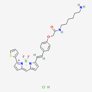 N-(6-aminohexyl)-2-[4-[(E)-2-(2,2-difluoro-12-thiophen-2-yl-3-aza-1-azonia-2-boranuidatricyclo[7.3.0.03,7]dodeca-1(12),4,6,8,10-pentaen-4-yl)ethenyl]phenoxy]acetamide;hydrochloride