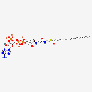 n-Octadecanoyl coenzyme a lithium salt