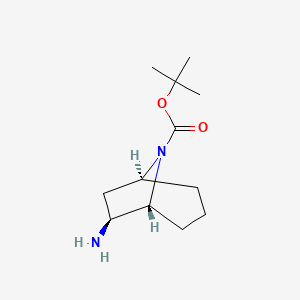 molecular formula C12H22N2O2 B12282382 Tert-butyl exo-6-amino-8-azabicyclo[3.2.1]octane-8-carboxylate 