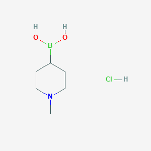 1-Methyl-piperidine-4-boronic acid hydrochloride