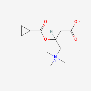 B1228316 Cyclopropanecarbonylcarnitine CAS No. 35067-78-8