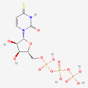 molecular formula C9H15N2O14P3S B1228424 4-硫代尿苷三磷酸 CAS No. 31556-28-2