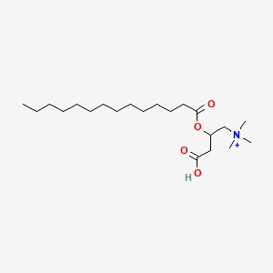 molecular formula C21H42NO4+ B1228480 (3-Carboxy-2-tetradecanoyloxypropyl)-trimethylazanium 